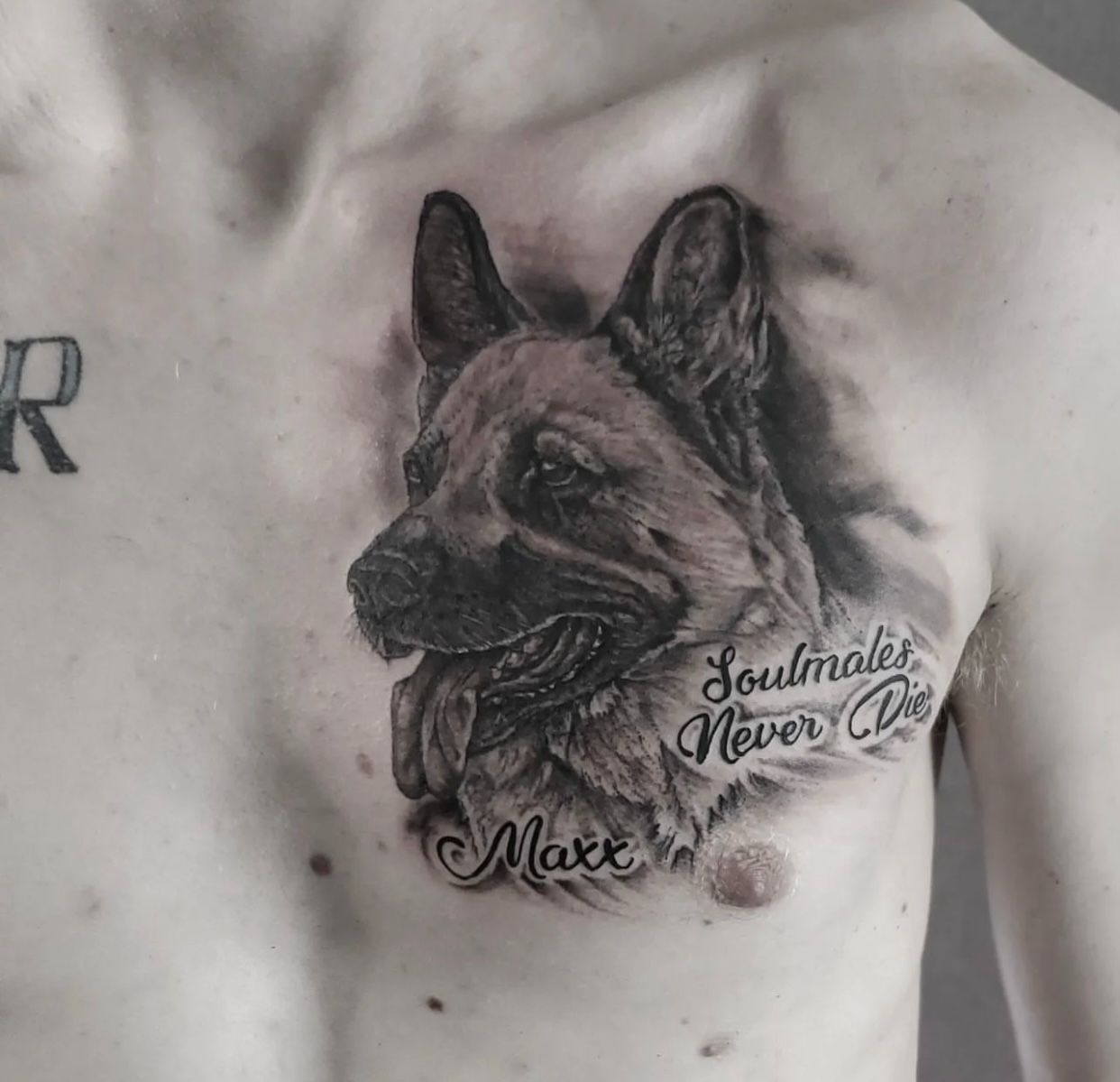  A fresh pet portrait tattoo 